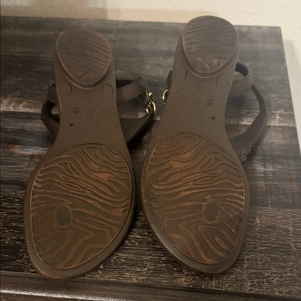 Dark Brown Sandals with Gold Accents